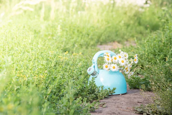 Schönes Sommerliches Stillleben Blaue Teekanne Mit Einem Strauß Frischer Weißer — Stockfoto