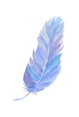 Beyaz arka planda izole edilmiş suluboya ile boyanmış güzel bir peri masalı mavi tüyleri var.