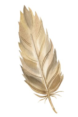 Beyaz arka planda izole edilmiş suluboya ile boyanmış güzel bir peri masalı kahverengi tüylü.