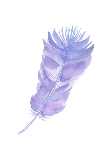 Bella Fiaba Decorativa Viola Soffice Piuma Dipinta Acquerello Isolato Sfondo — Foto Stock
