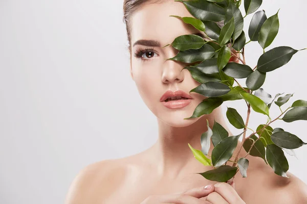 美丽和自然的年轻妇女摆着绿色的叶子在灰色背景 皮肤护理概念 水合皮肤 — 图库照片