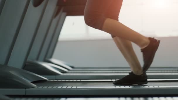 Linda chica joven haciendo ejercicios en el gimnasio bacground — Vídeo de stock