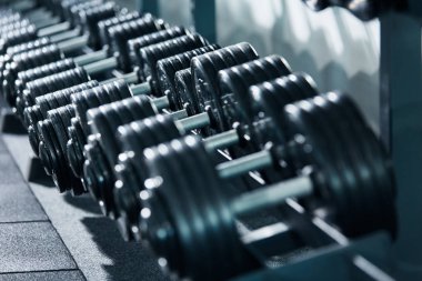 spor salonunda düzenlenmiş dambılların yakından görünümü