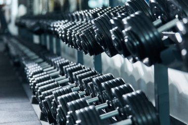 spor salonunda düzenlenmiş dambılların yakından görünümü