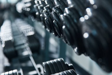 spor salonunda düzenlenmiş dambılların yakından görünümü