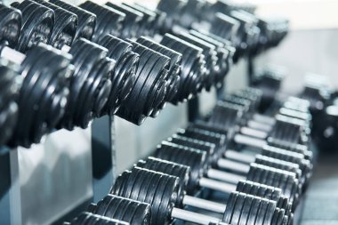 spor salonunda düzenlenmiş dambılların yakından görünümü