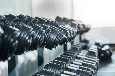 spor salonunda düzenlenmiş dambılların yakından görünümü