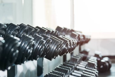 spor salonunda düzenlenmiş dambılların yakından görünümü