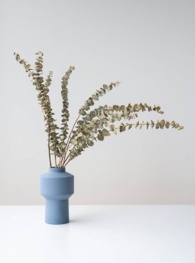 Mavi seramik vazoda doğal kuru Okaliptüs dalları