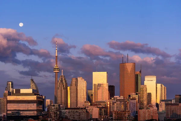 Toronto centro da cidade skyline manhã cedo hora mágica — Fotografia de Stock