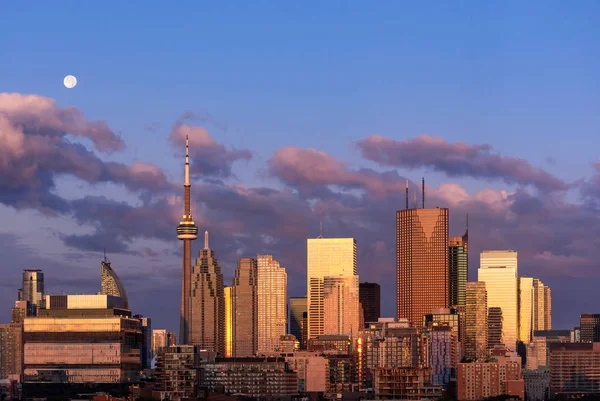 Toronto şehir merkezi silueti sabahın erken saatlerinde sihirli saat