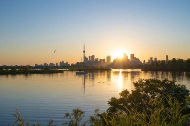 Toronto gün batımı, Tommy Thompson parkından gökyüzü manzarası