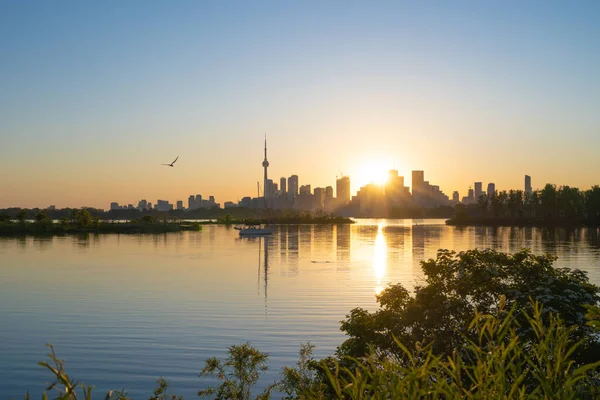 Toronto gün batımı, Tommy Thompson parkından gökyüzü manzarası
