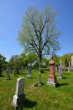 MONTREAL CANADA - 05: 25 2020 Notre-Dame-des-Neiges Mezarlığı 'ndaki bahar ağaçları. Kanada 'daki en büyük mezarlık ve Kuzey Amerika' daki en büyük üçüncü mezarlık.