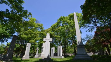 MONTREAL CANADA - 05: 25 2020 Notre-Dame-des-Neiges Mezarlığı 'ndaki bahar ağaçları. Kanada 'daki en büyük mezarlık ve Kuzey Amerika' daki en büyük üçüncü mezarlık.