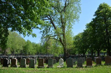 MONTREAL QUEBEC CANADA - 04 16 2020: Notre Dame des Neiges Mezarlığı, Cote-des-Neiges-Notre-Dame-de-Grace ilçesinde yer alan bir kırsal mezarlıktır. 