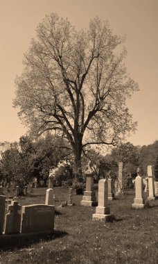MONTREAL QUEBEC CANADA - 04 16 2020: Notre Dame des Neiges Mezarlığı, Cote-des-Neiges-Notre-Dame-de-Grace ilçesinde yer alan bir kırsal mezarlıktır. 