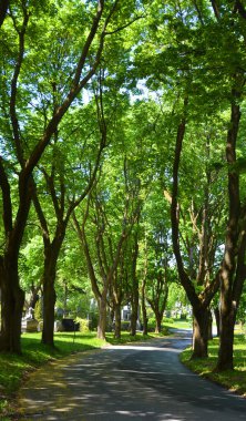 MONTREAL CANADA - 05: 25 2020 Notre-Dame-des-Neiges Mezarlığı. Kanada 'daki en büyük mezarlık ve Kuzey Amerika' daki en büyük üçüncü mezarlık.