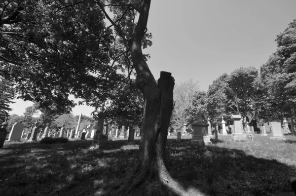 Montreal Canada 2020 Graves Notre Dame Des Neiges Cemetery Spring — Stock Photo, Image