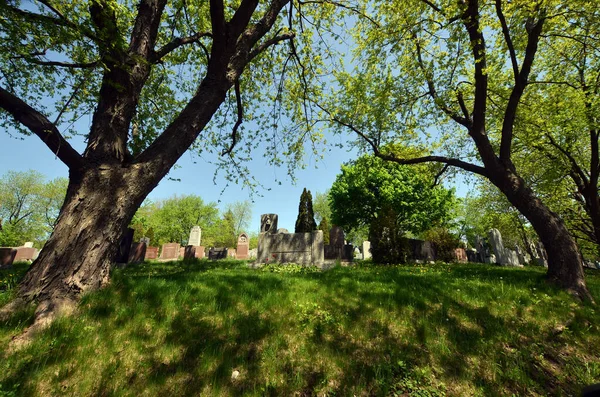 Montreal Canada 2020 Graves Notre Dame Des Neiges Cemetery Spring — 스톡 사진