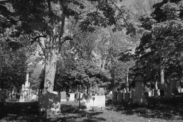Montreal Quebec Canada 2020 Cemitério Notre Dame Des Neiges Cemitério — Fotografia de Stock