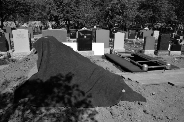 Montréal Québec Canada 2020 Cimetière Notre Dame Des Neiges Est — Photo