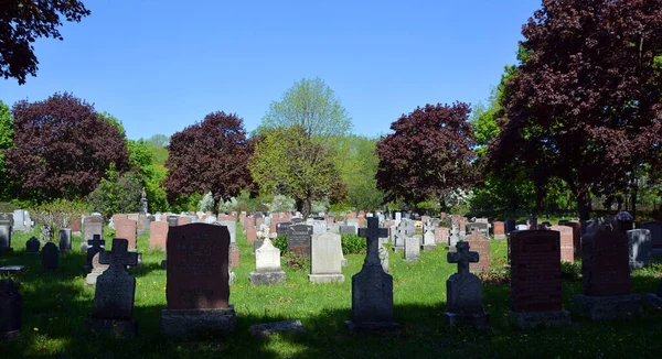 Montreal Quebec Canada 2020 Cimitero Notre Dame Des Neiges Cimitero — Foto Stock