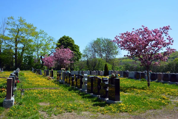 Монреаль Quebec Canada 2020 Notre Dame Des Neiges Cemetery Rural — стоковое фото