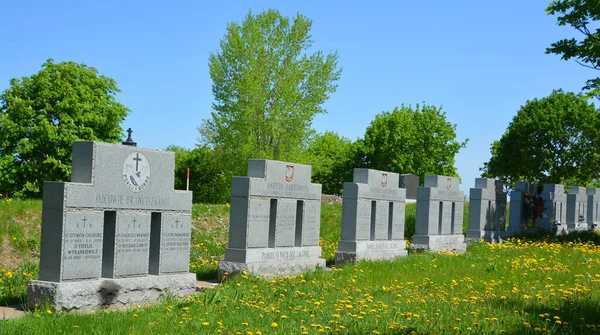 Montreal Quebec Canada 2020 Notre Dame Des Neiges Mezarlığı Cote — Stok fotoğraf