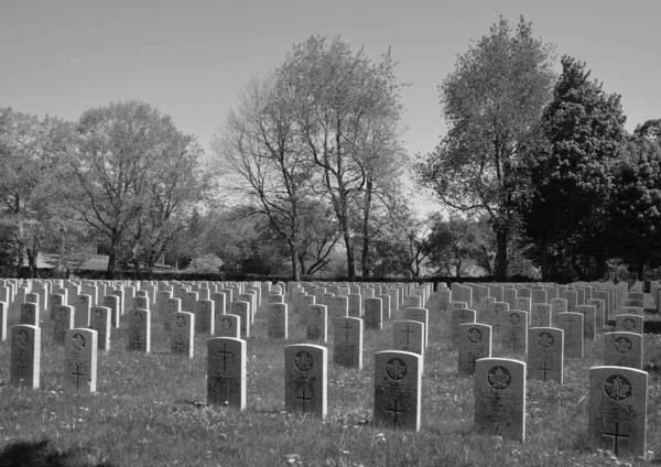 Montreal Quebec Canada 2020 Notre Dame Des Neiges Cemetery是位于Cote Des — 图库照片