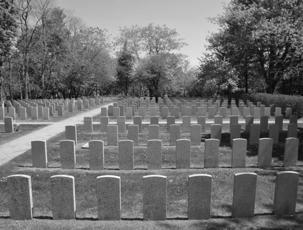 Монреаль Quebec Canada 2020 Notre Dame Des Neiges Cemetery Rural — стоковое фото