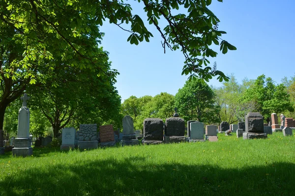 Montreal Quebec Canada 2020 Cementerio Notre Dame Des Neiges Cementerio —  Fotos de Stock