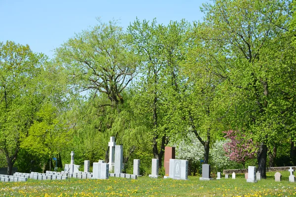 Монреаль Quebec Canada 2020 Notre Dame Des Neiges Cemetery Rural — стоковое фото