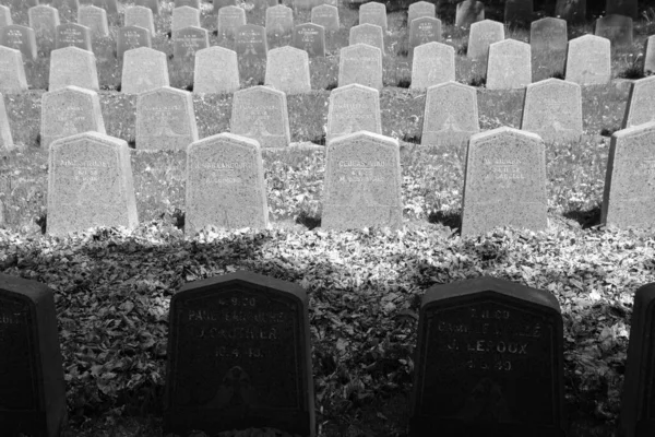 Montreal Canada 2020 Cementerio Notre Dame Des Neiges Con Árboles — Foto de Stock