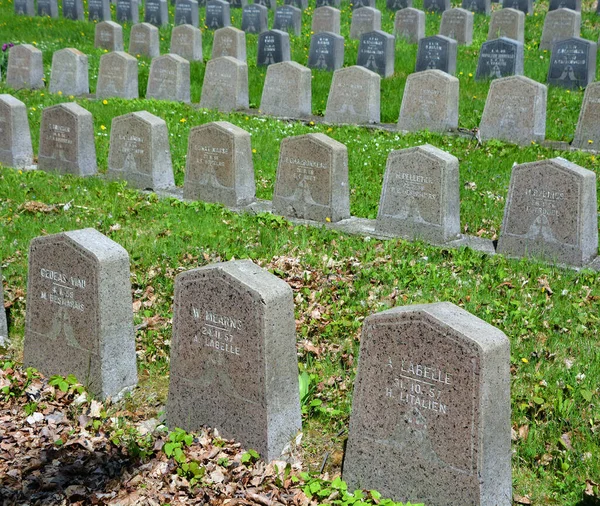 Montreal Canada 2020 Cementerio Notre Dame Des Neiges Con Árboles — Foto de Stock