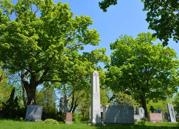 Montreal Canada 2020 Cementerio Notre Dame Des Neiges Con Árboles —  Fotos de Stock