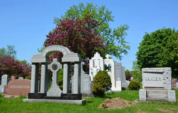 Montreal Canada 2020 Cementerio Notre Dame Des Neiges Con Árboles —  Fotos de Stock