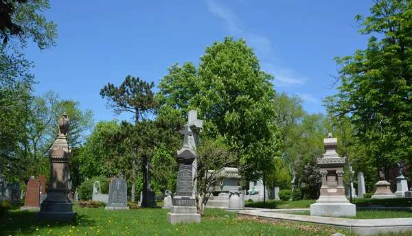 Montreal Canada 2020 Notre Dame Des Neiges Cemetery Spring Trees — 스톡 사진