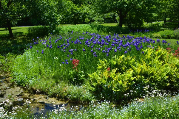 Καλοκαιρινό Τοπίο Στον Κήπο Μόντρεαλ Κεμπέκ — Φωτογραφία Αρχείου