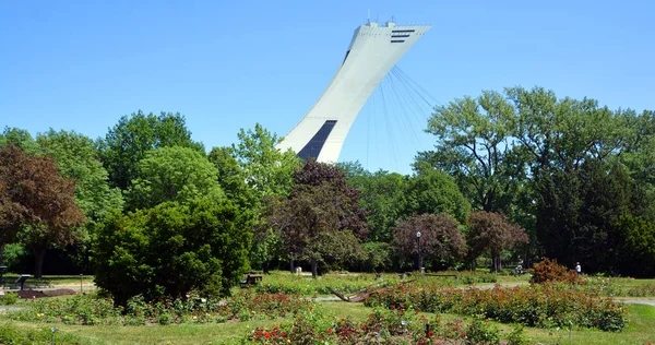 Montreal Canada 2020 Montreal Olympic Stadium Tower Olympic Rings Cauldron — Foto de Stock