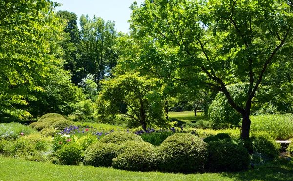 Jardín Verano Paisaje Montreal Quebec Canadá — Foto de Stock