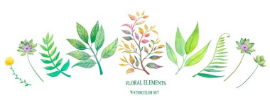 yeşil çiçek elementlerinden oluşan suluboya set