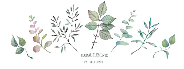 Aquarela Conjunto Elementos Florais Verdes — Fotografia de Stock