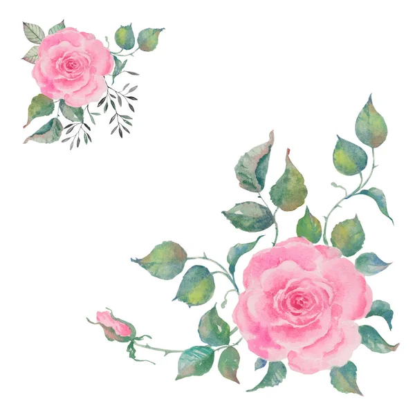 Aquarel Roos Collectie Set Van Bloemen Elementen — Stockfoto