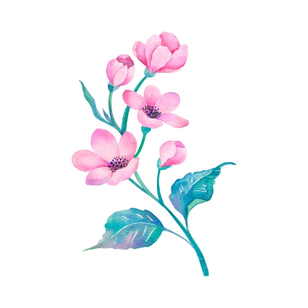 Akvarell Rózsaszín Virág Színes Elem Design — Stock Fotó
