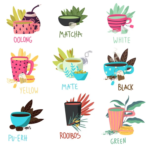 Types de thé — Image vectorielle
