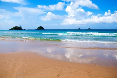 Işık dalgaları. Okyanus ve kum. Palmiye ağaçları. Gökyüzü ve bulutlar.