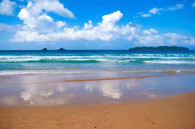 Işık dalgaları. Okyanus ve kum. Palmiye ağaçları. Gökyüzü ve bulutlar.