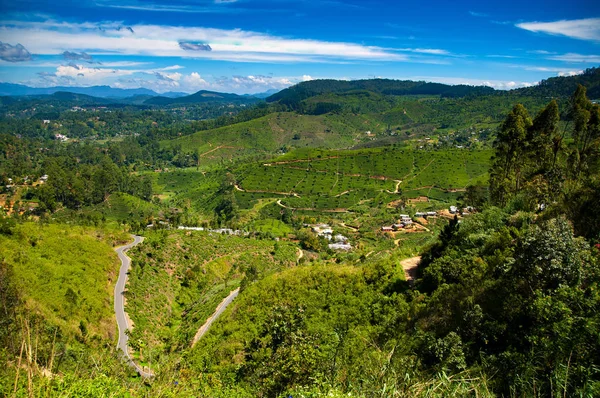 Foresta Colline Paesaggio Con Borghi Strade — Foto Stock