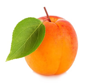 Kayısı ile beyaz bir arka plan üzerinde izole yaprak yakın çekim.